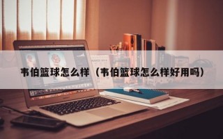 韦伯篮球怎么样（韦伯篮球怎么样好用吗）