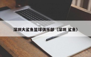 深圳大鲨鱼篮球俱乐部（深圳 鲨鱼）