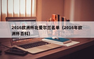 2016欧洲杯北爱尔兰名单（2016年欧洲杯百科）