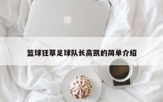 篮球狂草足球队长高凯的简单介绍