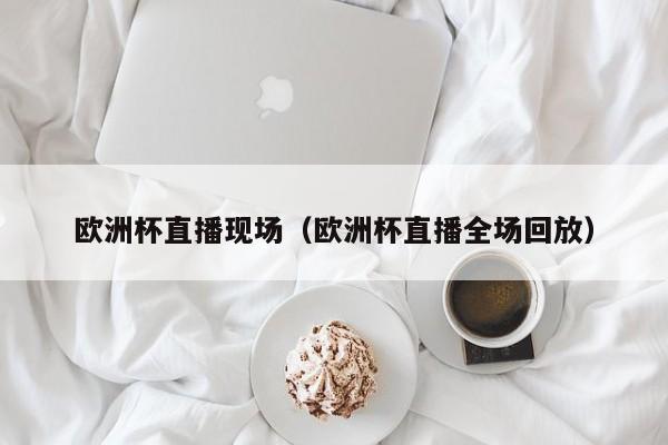 欧洲杯直播现场（欧洲杯直播全场回放）